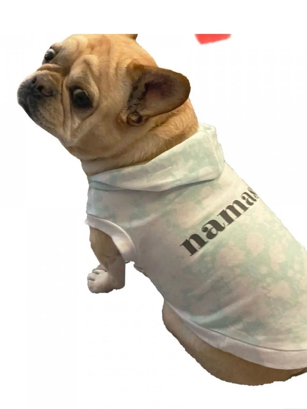 2-Grayson pup pet apparel Namaste Pug Dog